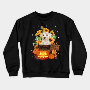 White Miniature Schnauzer Halloween Pumpkin Fall Bucket Crewneck Sweatshirt